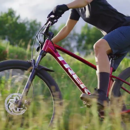 Mountain Bike Rental